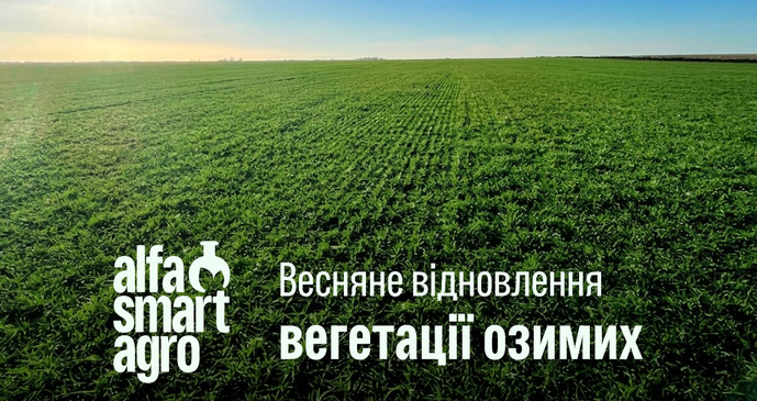 Весняне відновлення вегетації озимих, фото